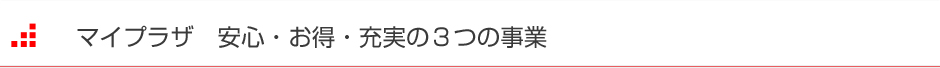 マイプラザの事業